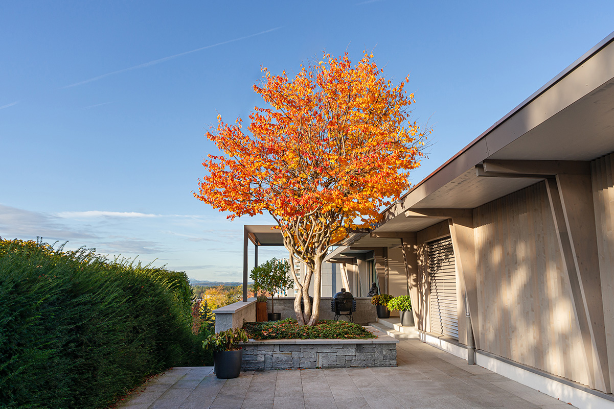Moderner Garten im Herbst
