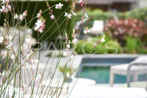 Kleiner Garten mit Living Pool und Aussenküche