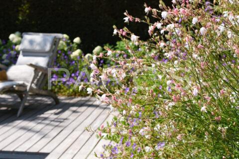 grosser mediterraner Garten mit living pool